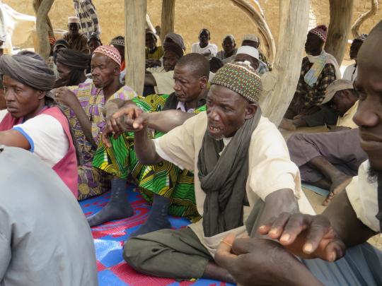 Dorfversammlung in Sanamadougou, März 2015  [Foto: David Brown]
