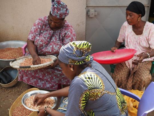 Das Aussortieren der Erdnüsse ist sehr arbeitsintensiv.